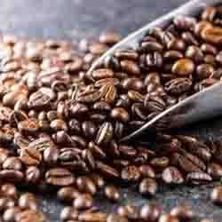 ROBUSTA COFFEE BEANS for Cafe